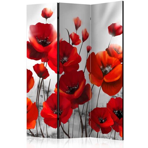  Paravan u 3 dijela - Poppies in the Moonlight [Room Dividers] 135x172 Slike