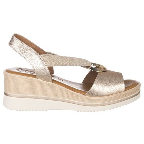 Zapp 1612 Gold Slike