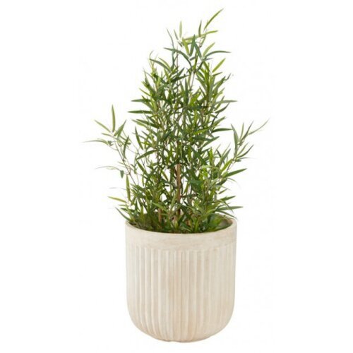  Saksija Brilleand fi 37xV37 salesno ( 6440002 ) Cene