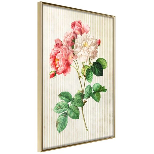  Poster - Romance II 30x45 Slike