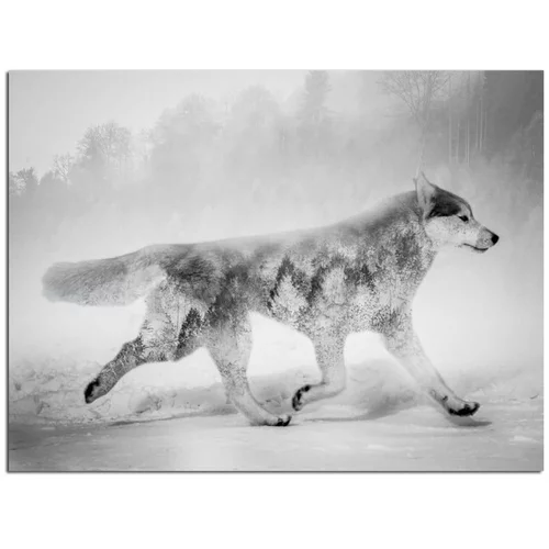 Styler Slika Canvas Nordic Wolf, 75 x 100 cm