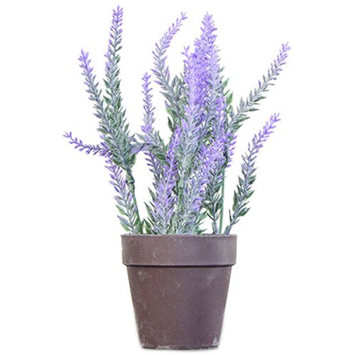 Edelman Umjetna biljka Lavanda (11 x 26 cm, Lila, Plastika) Cijene