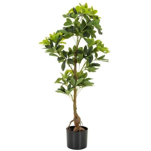 MID.YOU Umetna Rastlina Schefflera Slike