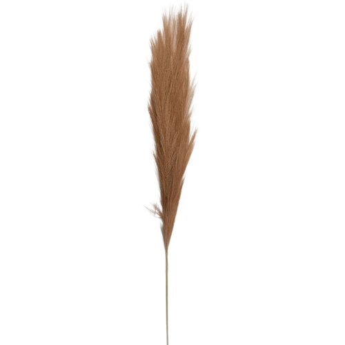  Rezano cvijeće grana pampas 110 cm 63450820 Cene