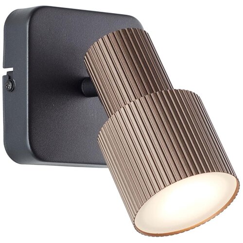 Brilliant LED zidna reflektorska svetiljka CADIZ 1xGU10/5W/230V bronzana Slike
