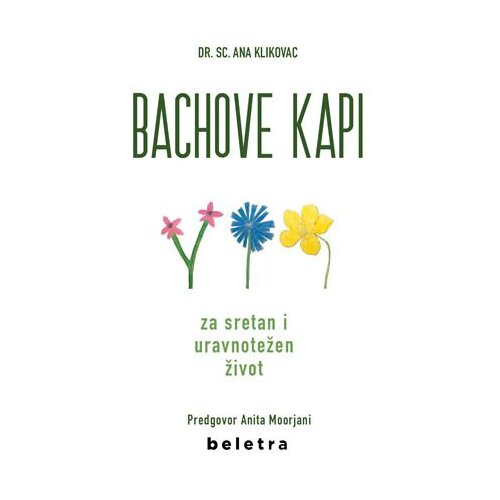 Beletra Bachove kapi , Ana Klikovac Slike