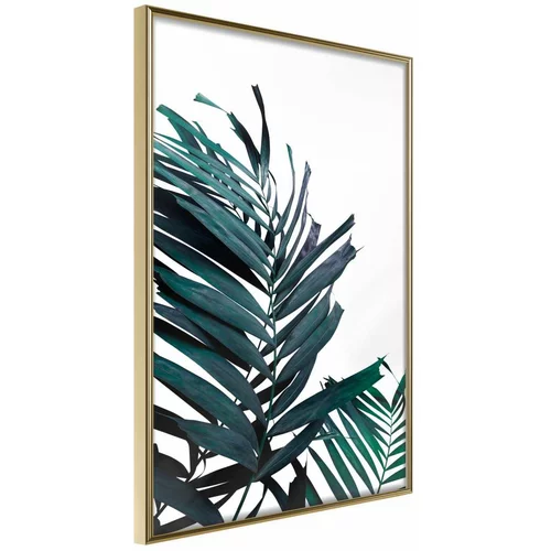 Poster - Evergreen Palm Leaves 40x60