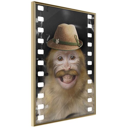  Poster - Dressed Up Monkey 30x45 Cijene
