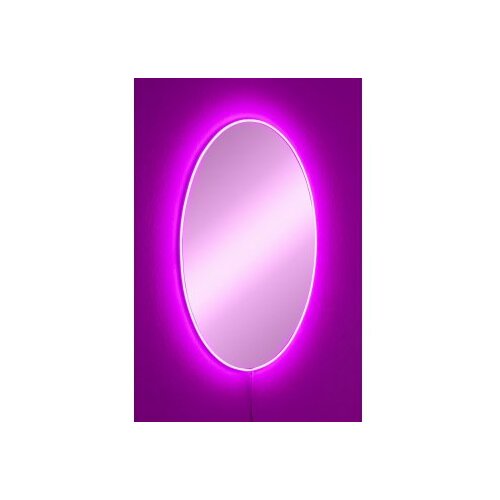 HANAH HOME ogledalo sa led osvetljenjem elliptical single 30x40 cm pink Cene