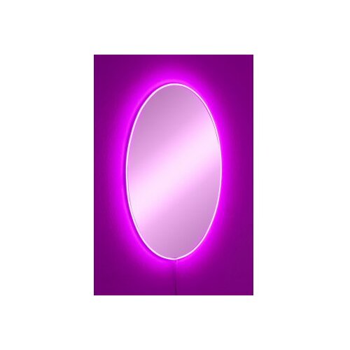 Hanah home ogledalo sa led osvetljenjem elliptical single 30x40 cm pink Cene