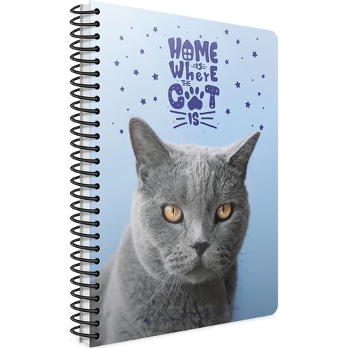 Cat SPIRALNA BILJEŽNICA A4 CRTE Cijene