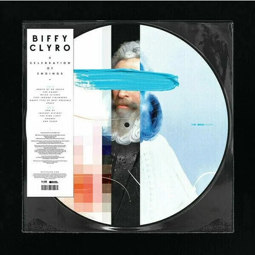 Biffy Clyro - A Celebration Of Endings (Picture Disc) (LP)