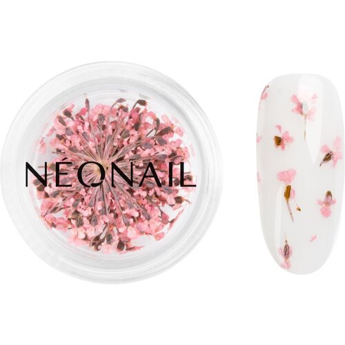 NeoNail Dried Flowers sušen cvet za nohte odtenek Pink 1 kos Cene