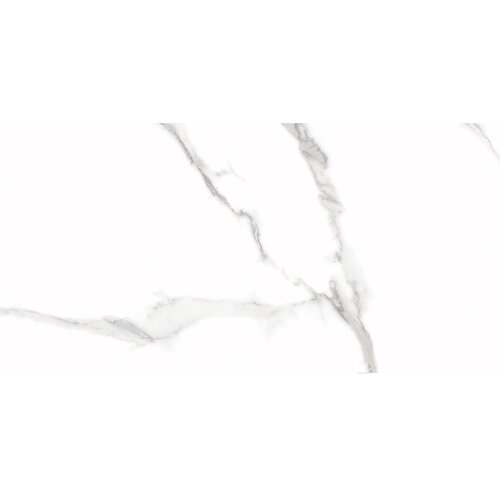 Halcon lenox White Pulido 60x120cm Slike