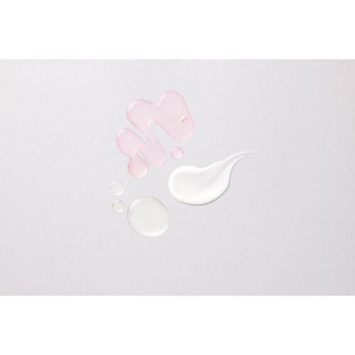 Whamisa Organic Flowers Renewal Miniature Kit darilni set za popolno polt Cene