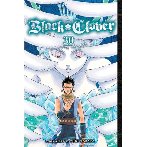 VIZ Media Yuki Tabata - Black Clover, Vol. 30 Cene