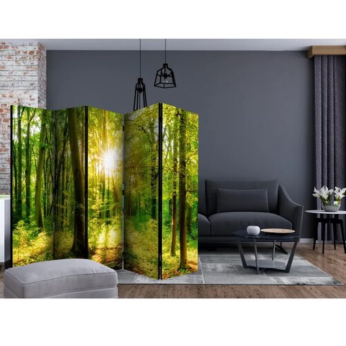  Paravan - Forest Rays II 225x172 Cene