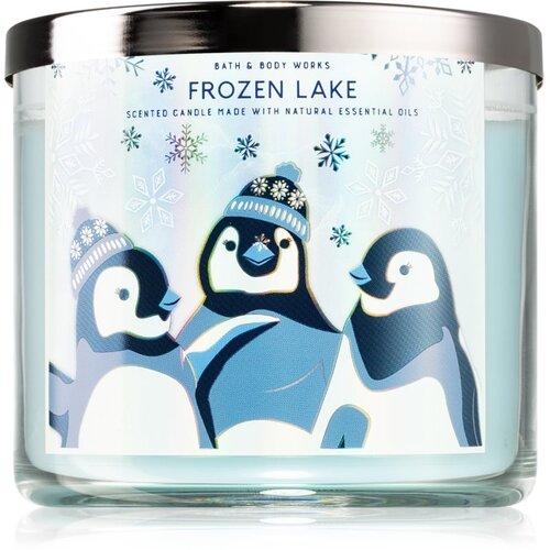 Bath & Body Works Frozen Lake mirisna svijeća IV. 411 g Cijene