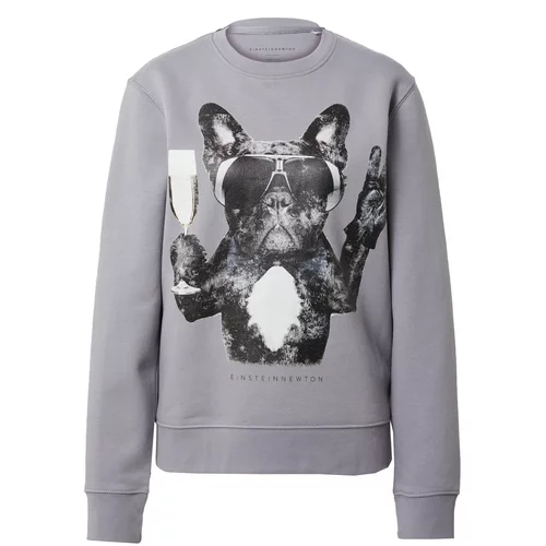 EINSTEIN & NEWTON Sweater majica 'Champagne Dog' siva
