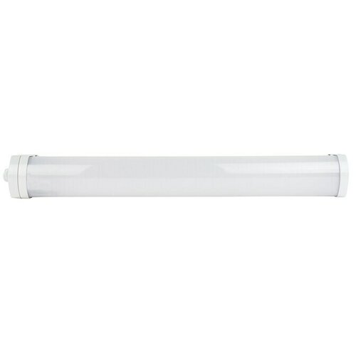 Ritter Leuchten LED rasvjeta za vlažne prostore (D x Š x V: 50 cm x 5,6 cm x 61 mm, Boja svjetla: Bijele boje dnevnog svjetla, 18 W, IP65) Cijene