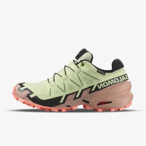 Salomon Speedcross 6 gtx w li Cene