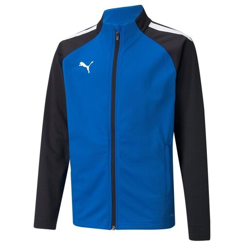 Puma Teamliga Poly sarena Cijene