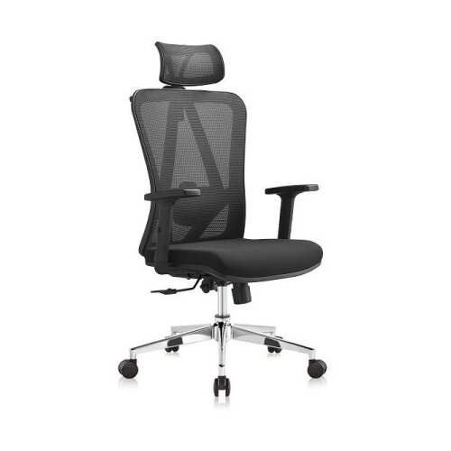 Ergo office plus - Radna anatomska stolica S2 - Crna 683966 Cene