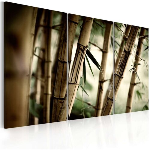  Slika - In a tropical forest 60x40 Slike