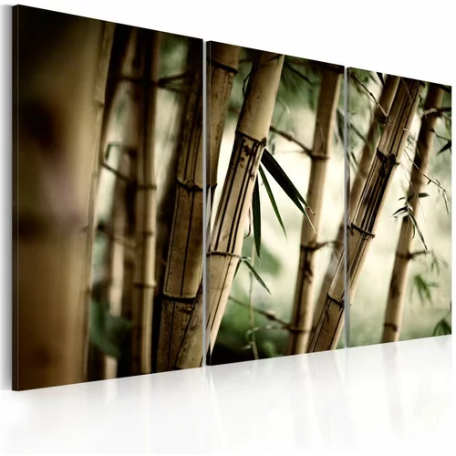  Slika - In a tropical forest 60x40