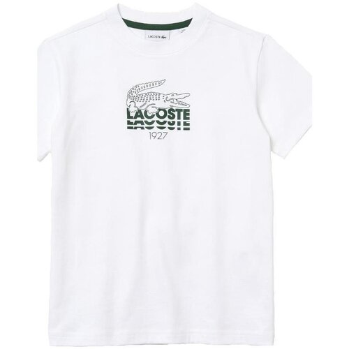 Lacoste majice s kratkimi rokavi - Bela Slike