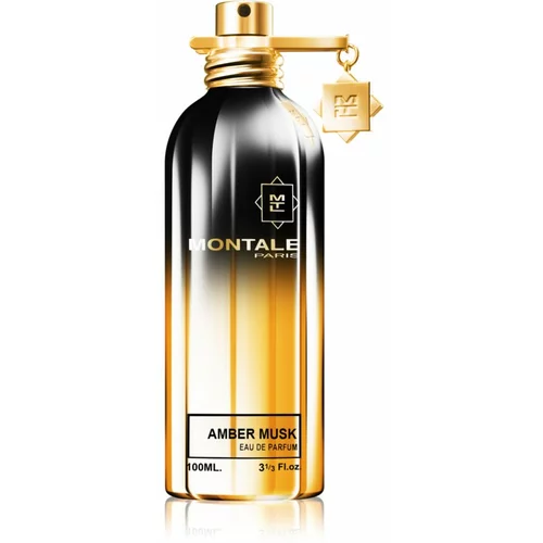 Montale Amber Musk parfumska voda 100 ml unisex