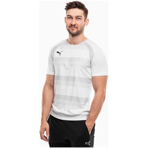 Puma Teamvision sarena Slike