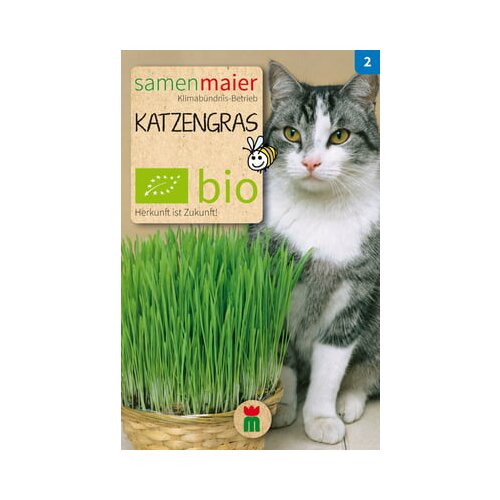Samen Maier bio mačja trava Cene