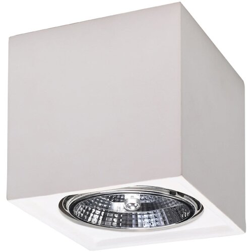 Nice Lamps Bijela stropna svjetiljka 14x14 cm Duozone – Cijene