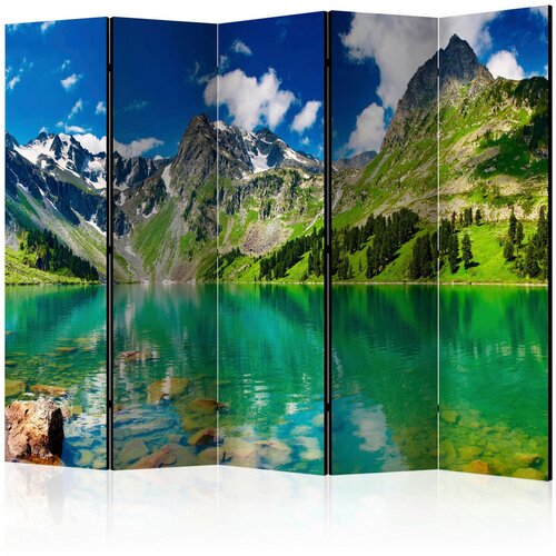 Artgeist PARAVAN 225/172/3 cm zelena, svetlo modra Cene