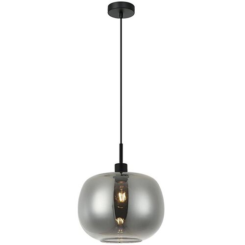  Luster na sajli ALAN 1xE27/40W/230V zadimljena crna Cene