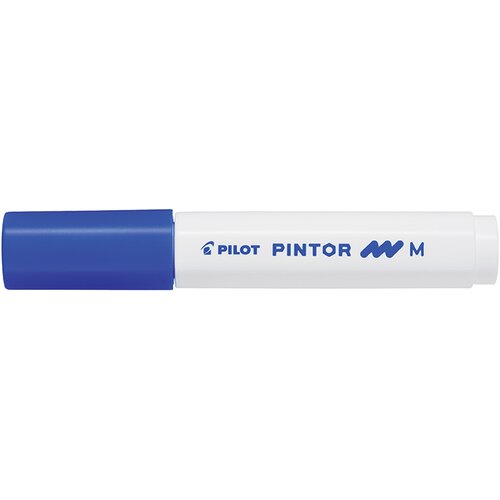 Pilot Marker Pintor M, Plavi Slike