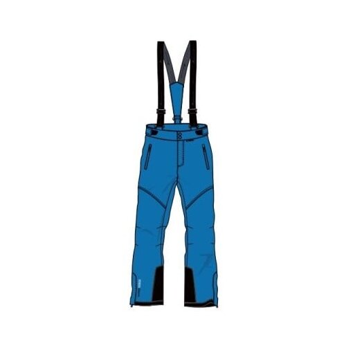 Whistler Children's ski pants DRIZZLE Cene