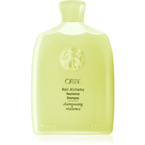 Oribe Hair Alchemy Resilience Shampoo šampon za okrepitev las za krhke lase 250 ml Cene