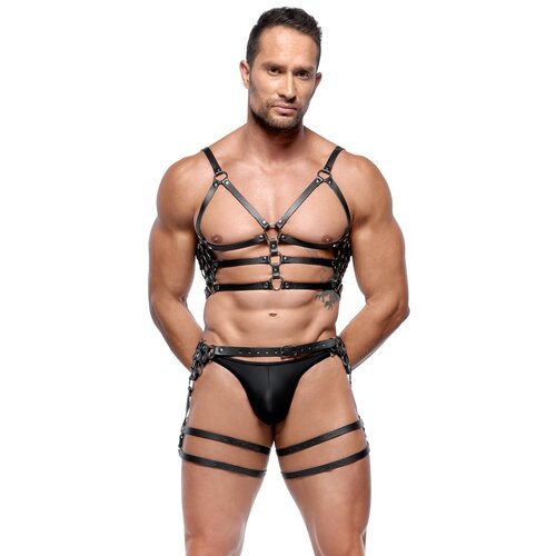 Zado Set kaiševa Harness Set leather Cene