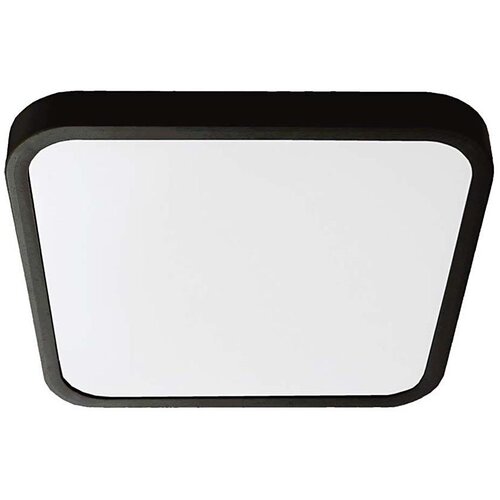  LED kupatilsko plafonsko svetlo LED/24W/230V 6500K IP44 crno Cene