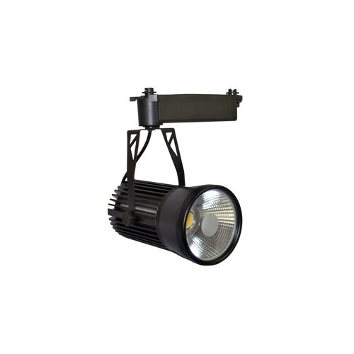  Forma &Scaron;inski LED reflektor TL04-30 BK Cene