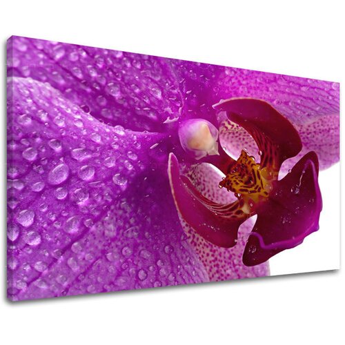  Slike na platnu cveće  (moderne slike na platnu) Cene