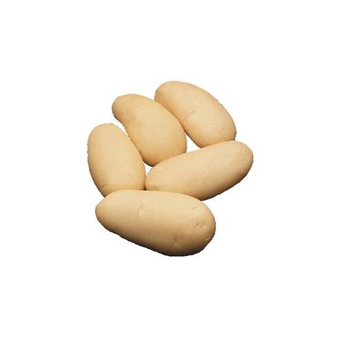 Krompir Liseta A 35/55 10 kg HZPC Cijene