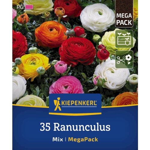 KIEPENKERL Mega pakiranje perzijskih zlatic - 35 k. Slike