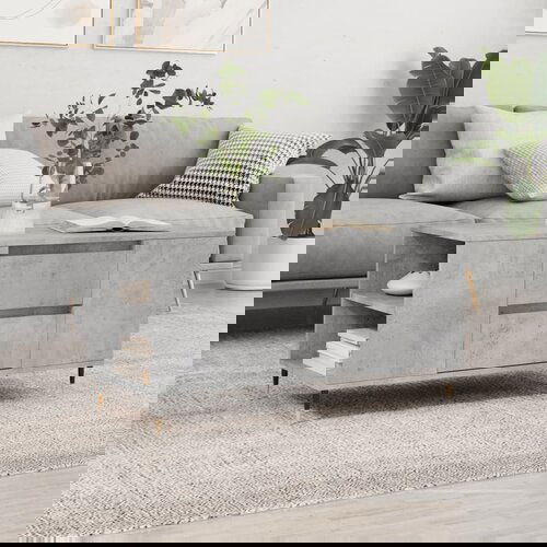 The Living Store Klubska mizica betonsko siva 102x44,5x50 cm inženirski les - Klubska Mizica, (21574805) Cene