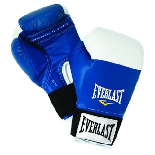 Everlast rukavice za boks 10 oz Slike