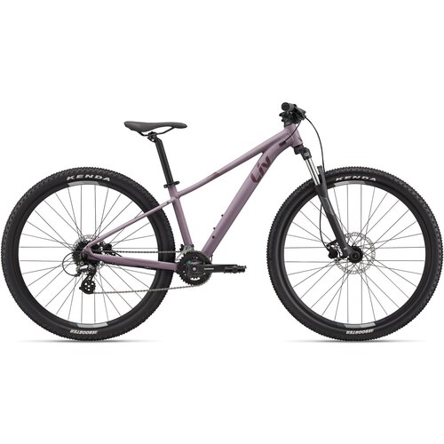  Bicikl LIV Tempt 3 Purple Ash - M Cijene