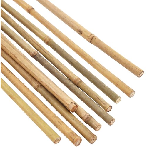  BAMBUS KOLAC 60CM 8/10MM Cijene