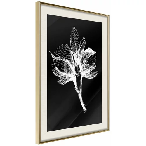  Poster - White Plant 40x60